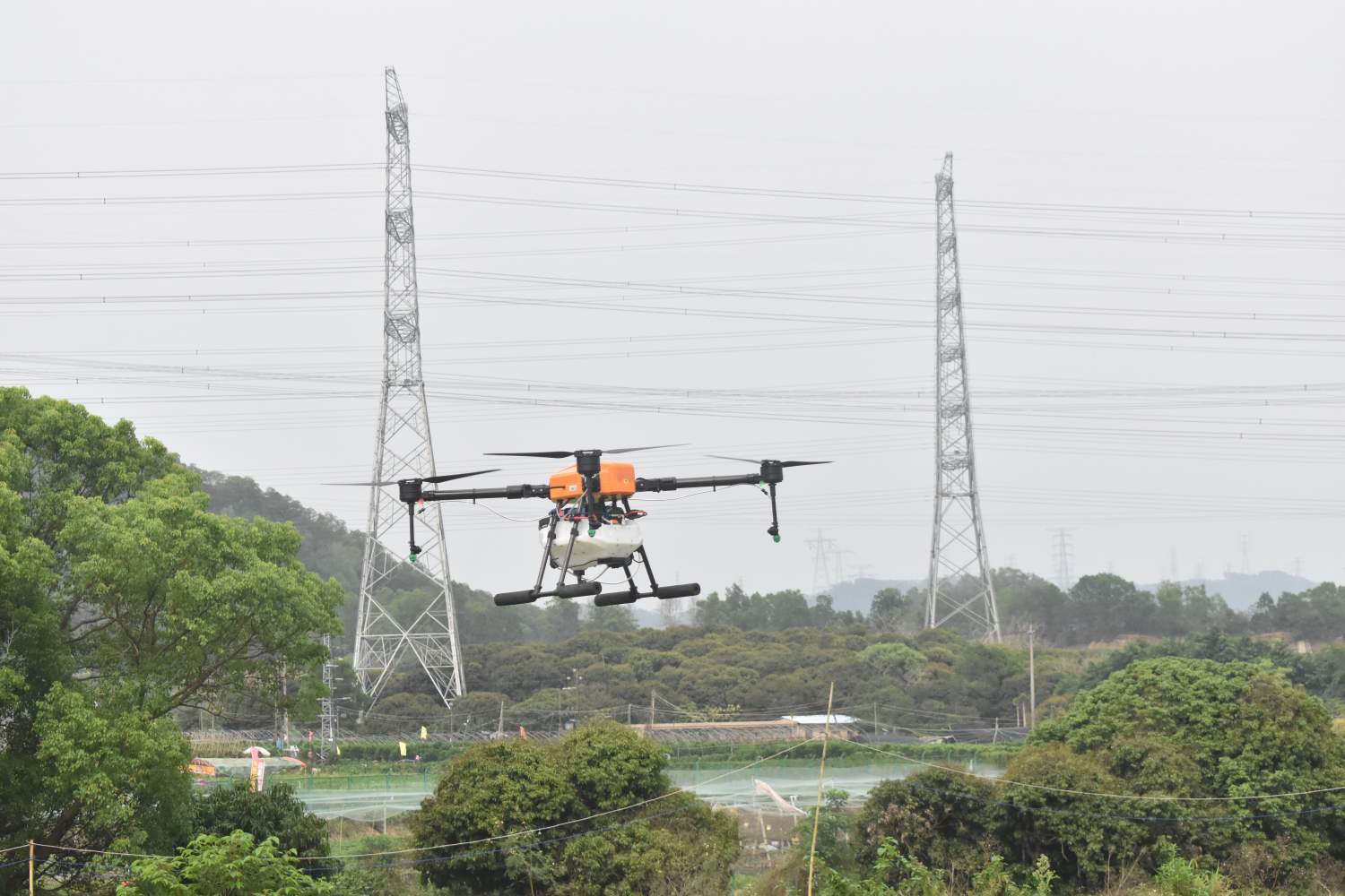 鼎峰無人機為水稻護航