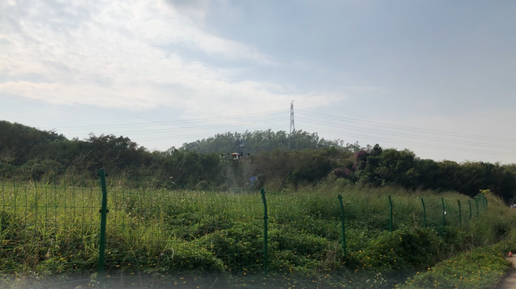 鼎峰植保無人機，打藥效率高、成本低、防治效果好！