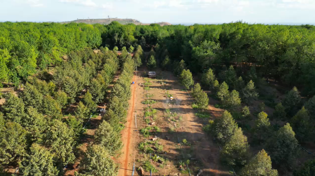 Sinochip 30L植保無人機噴灑農藥作業